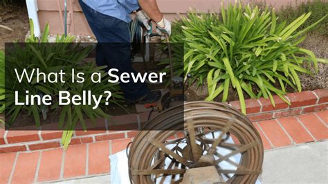 What Is A Sewer Line Belly And What To Do To Fix It Nicks