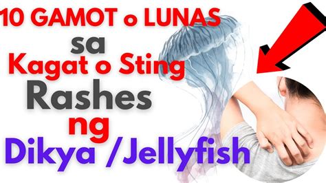 Lunas Sa Kagat Sting At Rashes Ng Dikya O Jelly Fish Natural Mga