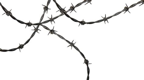 Barbed Wire Transparent Png 24995142 PNG