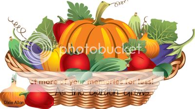 A Great Balancing Act: As the Garden Grows: We're Sowed and Blooming