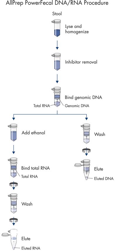 Allprep Powerfecal Dna Rna Kit