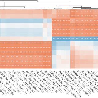 Correlation Clustering Heatmap Of Degs And Dams Related To Carotenoid