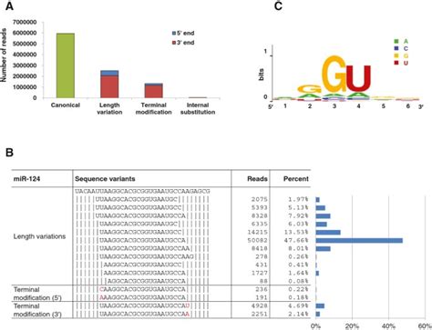 Genome Wide Annotation And Analysis Of Zebra Finch Microrna Repertoire