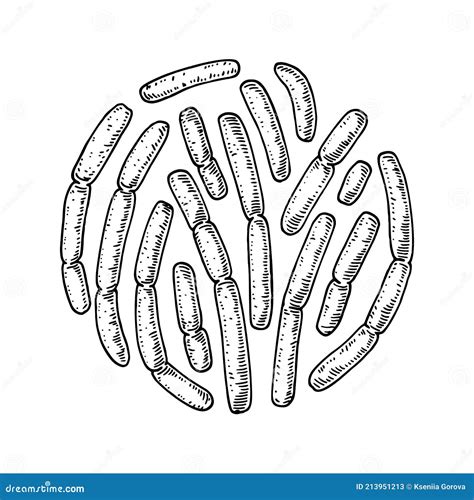 Hand Drawn Probiotic Bulgaricus Bacteria Good Microorganism For Human