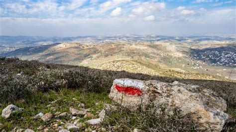 Le sentier dAbraham à la découverte de la Palestine Goyav