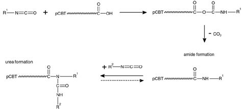 Possible Reaction Mechanisms Of Pcbt Carboxyl End Groups And Isocyanate