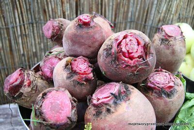 Buraczki Tarte Na Zim Food Fruit Vegetables