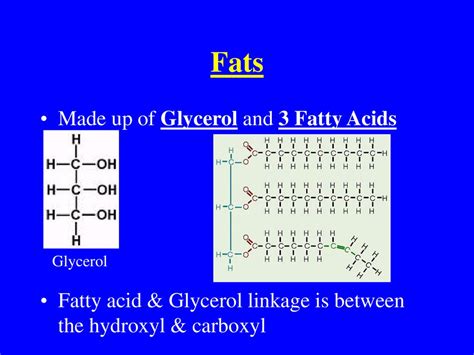 Lipids Ppt Download