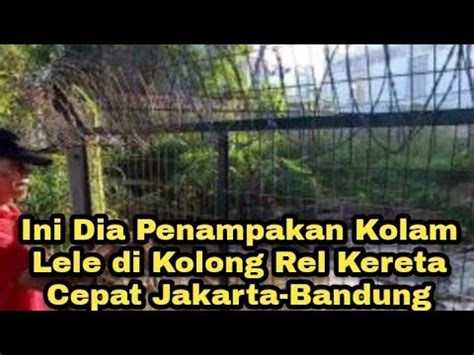 Ini Dia Penampakan Kolam Lele Di Kolong Rel Kereta Cepat Jakarta