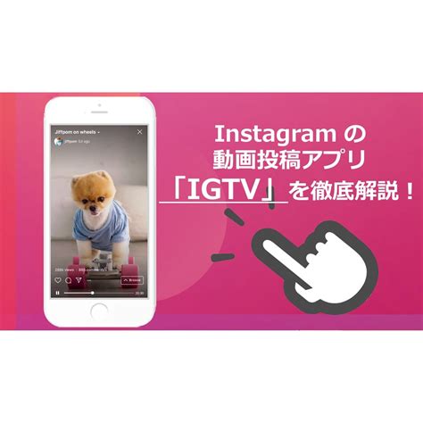 長尺で楽しめるストーリーズ！？ Instagram の動画投稿アプリ「igtv」を徹底解説！ 株式会社グラッドキューブ