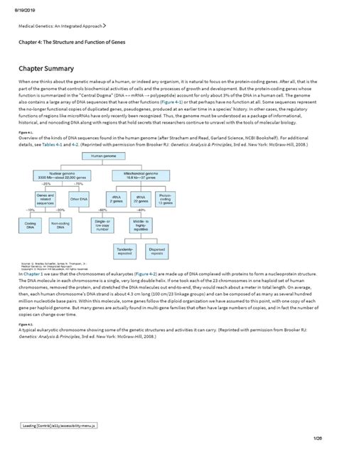 Chapter Summary: Chapter 4: The Structure and Function of Genes | PDF ...