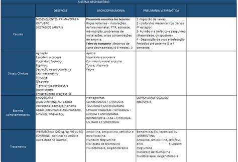 Resumo Grandes Semiologia De Grandes Animais