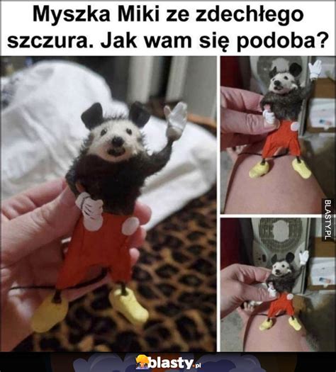 Myszka Miki ze zdechłego szczura jak wam się podoba memy gify i