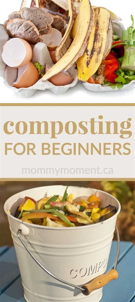 COMPOSTING FOR BEGINNERS - Mommy Moment