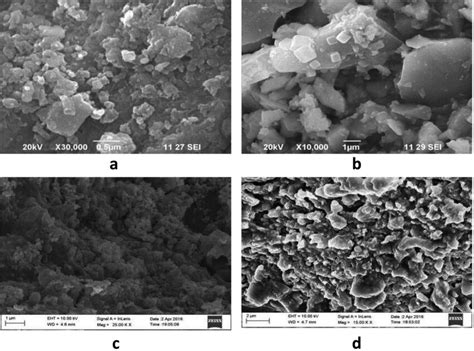 Ad SEM Micrograph Exhibiting The Formation Of Green AgNPs Of T