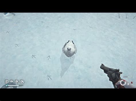 The Long Dark Ptarmigan In Timberwolf Mountain Summit YouTube