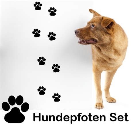 Hundetatzen Wandtattoo Hunde Tatzen Pfoten Wandaufkleber Aufkleber Shop