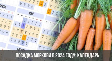 Календарь посадок на 2024 год для Сибири лунный посевной