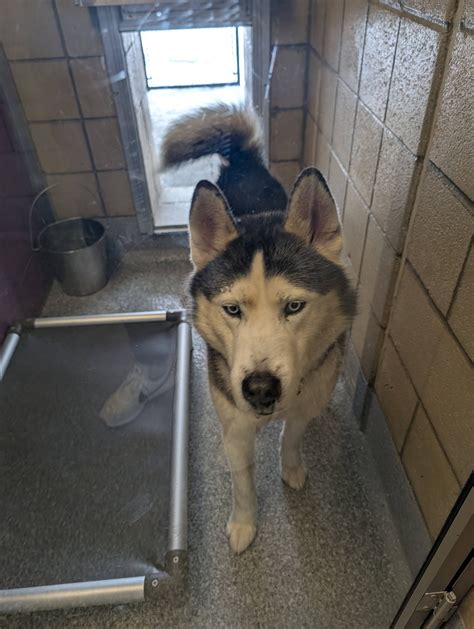 Read Obituaries from Greenfield Daily Reporter for the Latest News on Local Passings 4