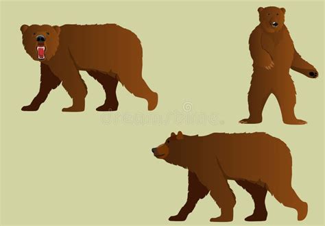 Brown Bear Flat Poses Stock Illustrations 34 Brown Bear Flat Poses