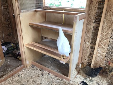 Chicken Coop Nesting Boxes Yellow Cottage Homestead