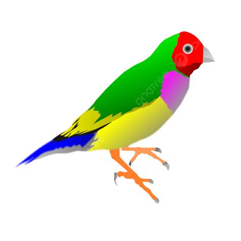 último Dibujo Vectorial De Pájaro Colorido Png Pájaro Vector