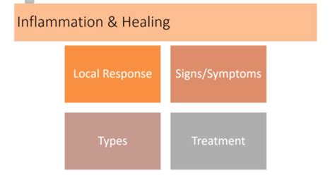 Inflammation Integumentary And Burns Flashcards Quizlet