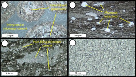 Examples of late Proterozoic synsedimentary calcite microspar cement.... | Download Scientific ...