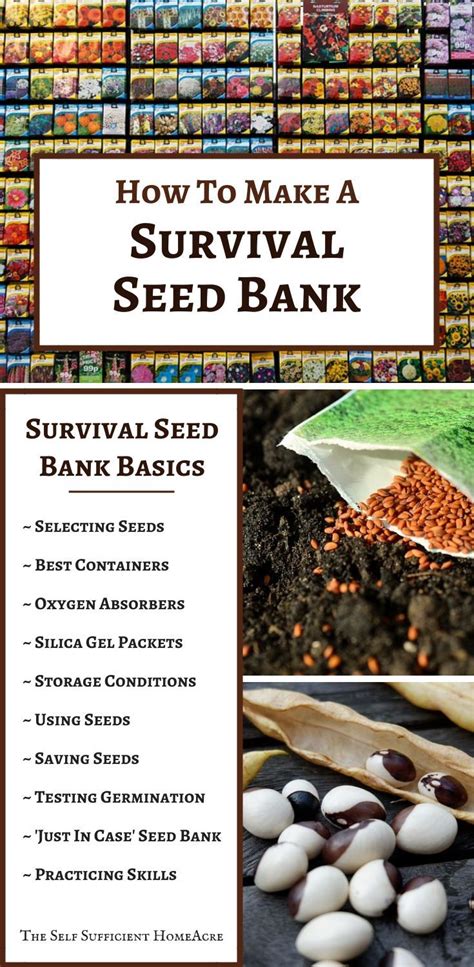 How To Make A Survival Seed Bank The Self Sufficient HomeAcre