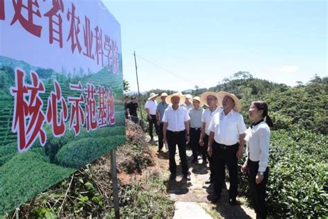 我的故事 余海燕 逐梦沃野“新农人” 领跑乡村振兴路 福建开放大学