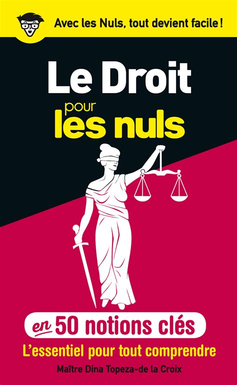 Le Droit Pour Les Nuls En 50 Notions Clés Pour Les Nuls