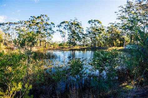 Canoelands Orchard Camping Hipcamp In Canoelands New South Wales