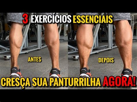 TREINO DE PANTURRILHAS APENAS 3 EXERCÍCIOS Davi Xavier YouTube