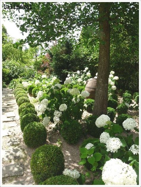 Modern Country Style: The Top Ten Best Green Hydrangeas For A Modern ...