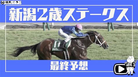 【2021新潟2歳s】期待馬多数登場！！人気馬の不安点は！？ 競馬動画まとめ