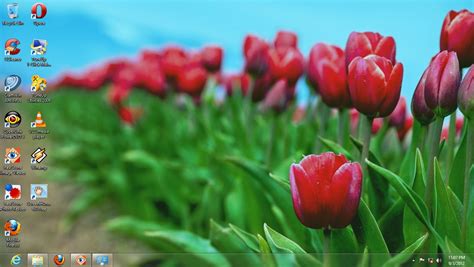 Free Windows Theme Flower Windows 8 Themes Download 100 Free Themes