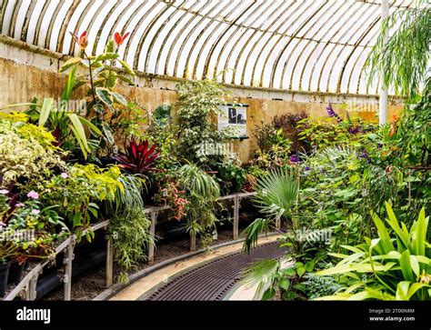 Interior Of The Palm House A Cast Iron Glasshouse Designed In The Th