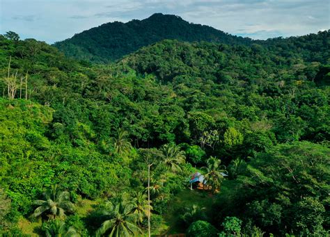 El Tapón de Darién es famoso por ser una importante reserva natural