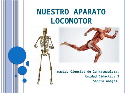 PPTX Nuestro Aparato Locomotor DOKUMEN TIPS