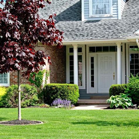 10 Curb Appeal Landscaping Ideas You Can DIY | The Family Handyman