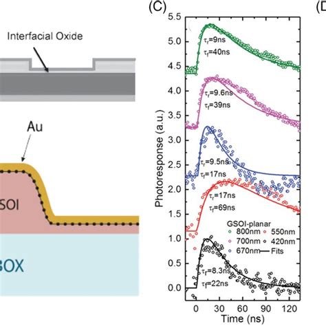 A Schematic Illustration Of A Graphene N‐si Heterojunction Download Scientific Diagram