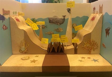 5th Grade Ocean Floor Project Educational Earth Science Projects