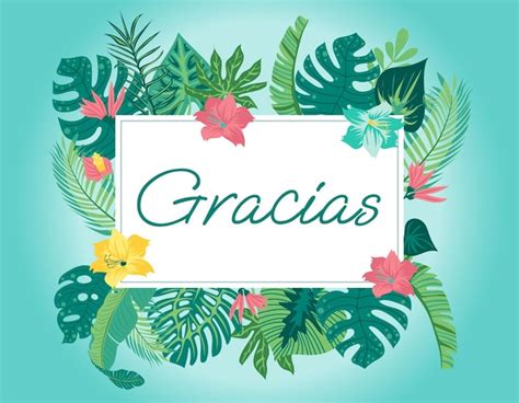 Free clip graciass, Download Free clip graciass png images, Free ...