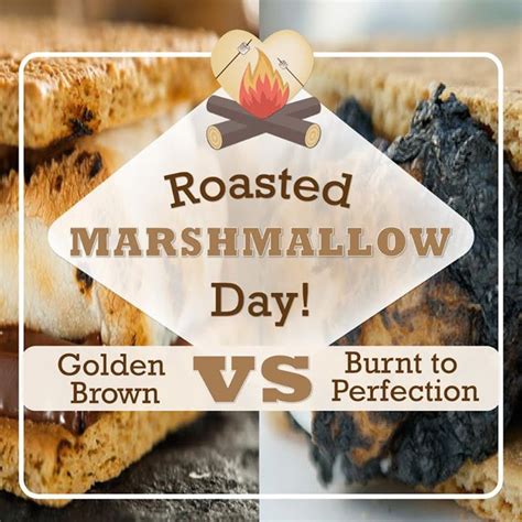 Happy Roasted Marshmallow Day Which Do You Prefer Golden Brown Or