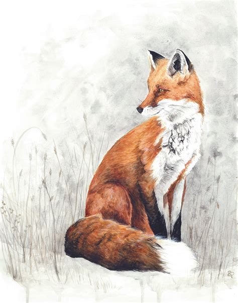 Red Fox Watercolor