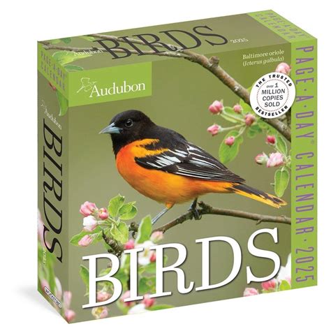 Audubon Birds 2025 Page A Day Desk Calendar Calendars