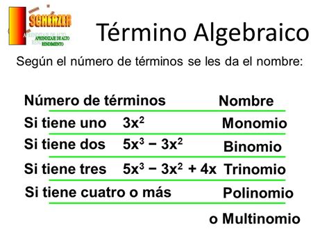 Algebra BÁsica Y Elemental Polinomios