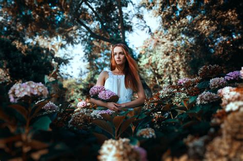 Wallpaper Sinar Matahari Wanita Di Luar Ruangan Si Rambut Merah