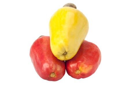 Brazilian Caju Cashew Fruit Group Apple Tropical Cuisine PNG