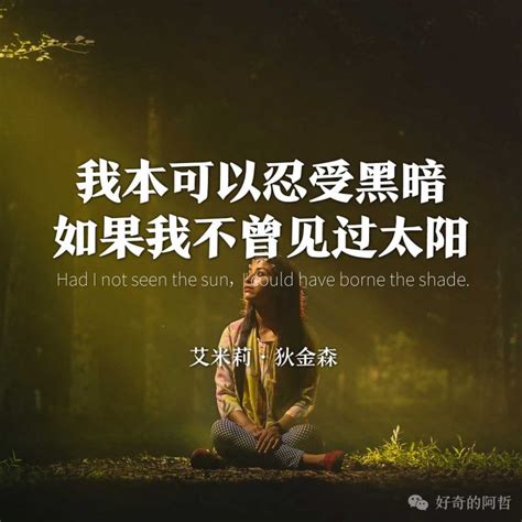 我本可以忍受黑暗，如果我不曾见过太阳 好奇的阿哲